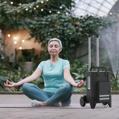 Oxymed P2 Hybrid Portable Oxygen Concentrator